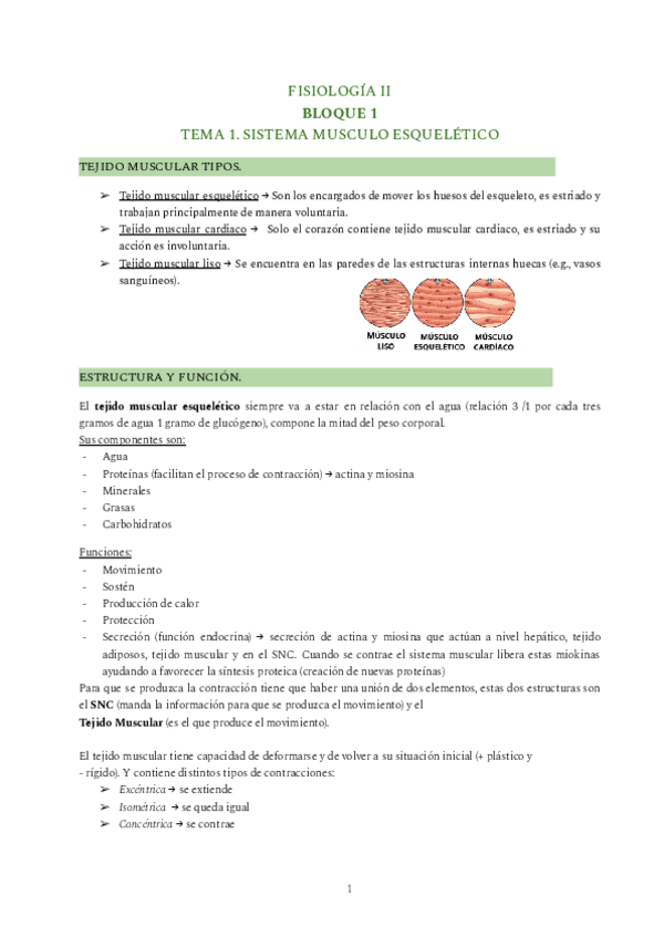 Miniatura del documento FISIOLOGIA-II-TODO.pdf