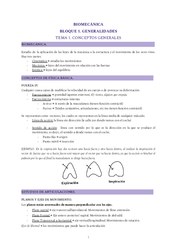 Miniatura del documento BIOMECANICA-Teoria.pdf