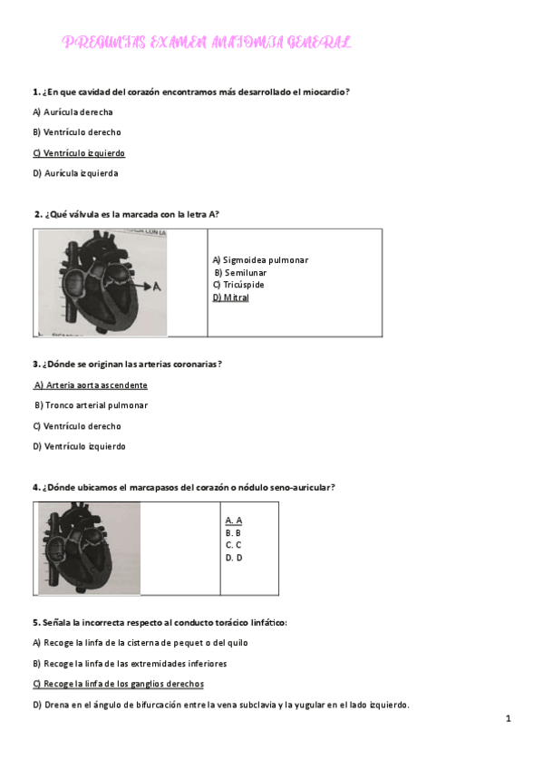 Miniatura del documento PREGUNTAS-EXAMEN-ANATOMIA-GENERAL.pdf