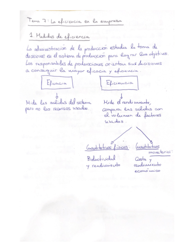 Miniatura del documento Tema-7-OGE-resumido.pdf