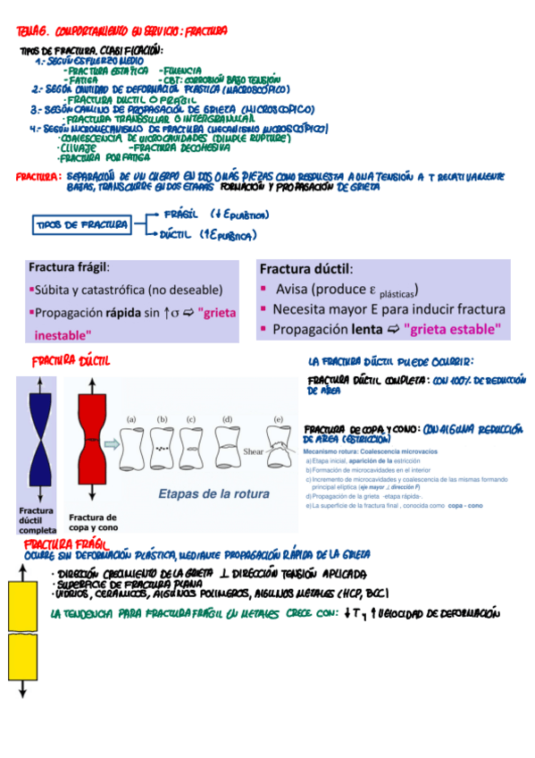 Miniatura del documento T6 Fractura.pdf