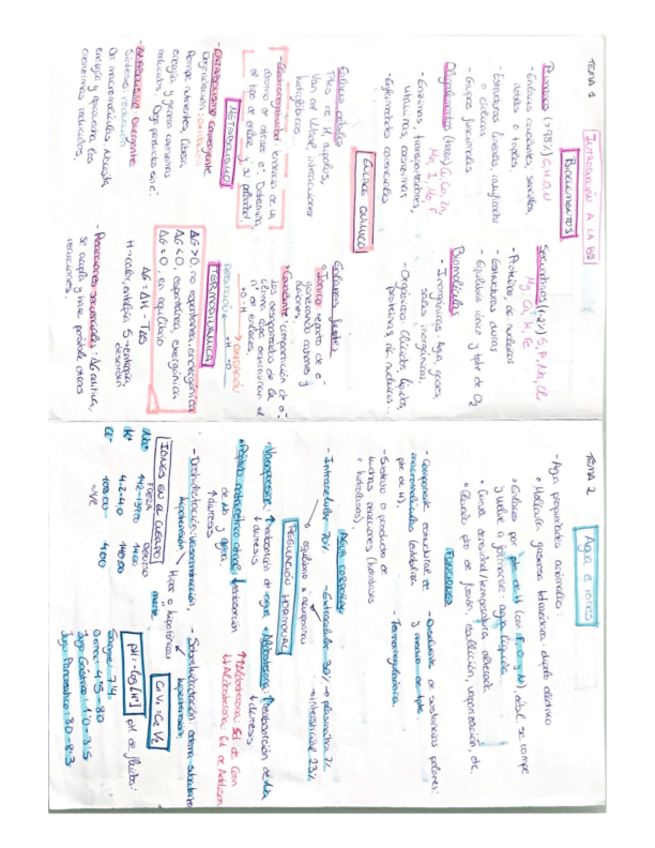 Miniatura del documento apuntes-bq-PARA-APROBAR.pdf