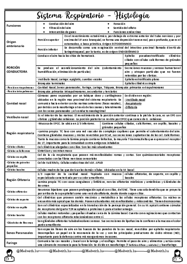 Miniatura del documento Sistema-Respiratorio-1.pdf