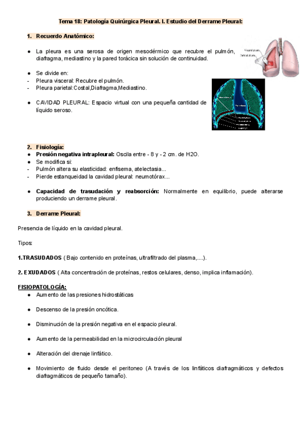 Miniatura del documento Afecciones-Quirurgicas-Tema-181921.pdf