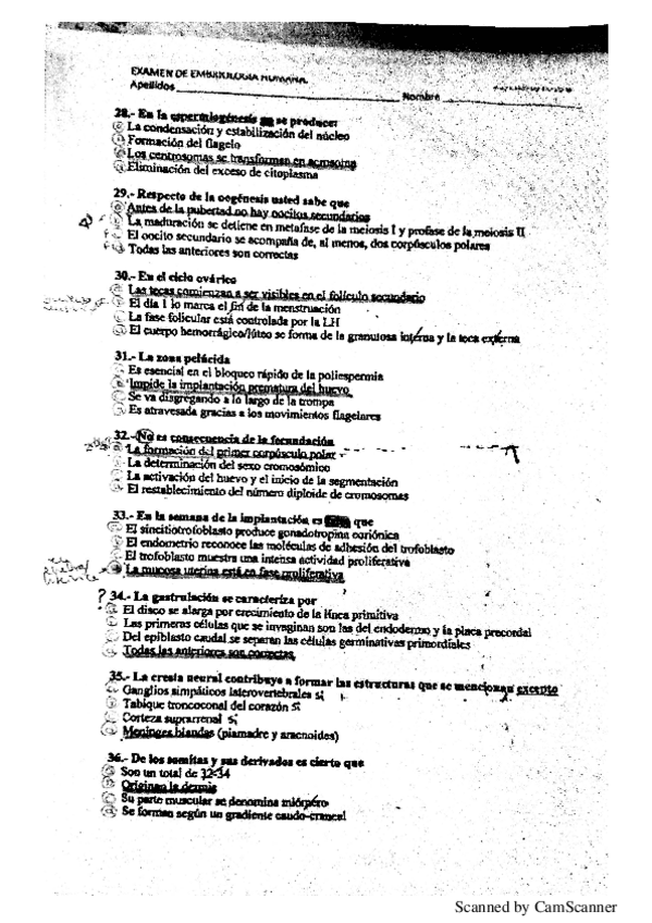 Miniatura del documento NuevoDocumento-2017-07-08.pdf