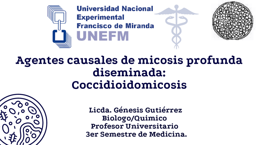 Miniatura del documento COCCIDIOIDOMICOSIS.pdf