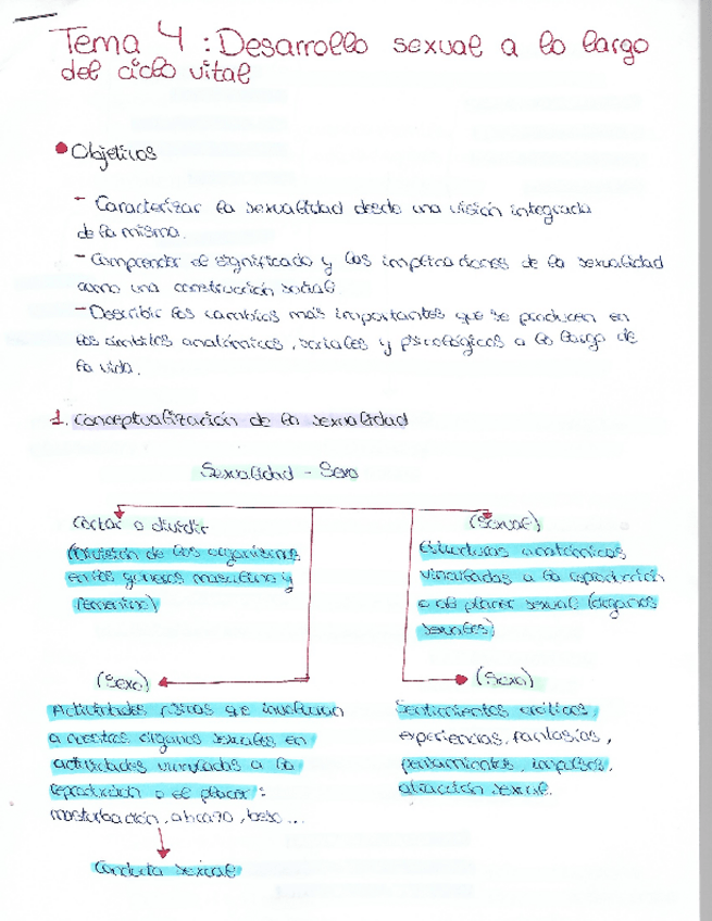 Miniatura del documento Tema 4 - Desarollo sexual a lo largo del ciclo vital.pdf