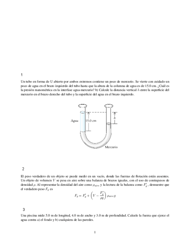 Miniatura del documento Fisica2-1.pdf