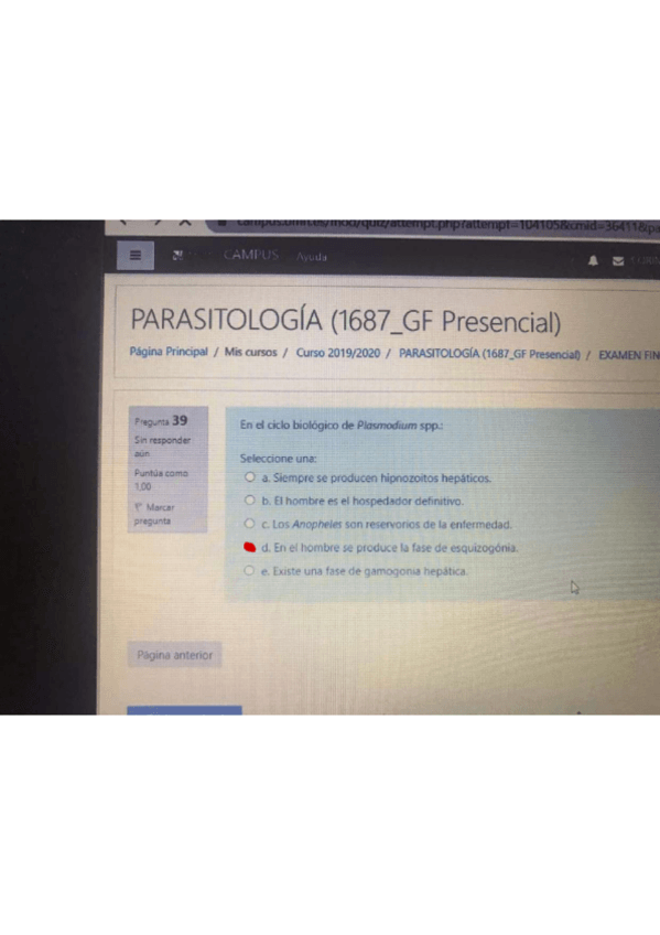 Miniatura del documento Examen-2020-Resuelto-.pdf