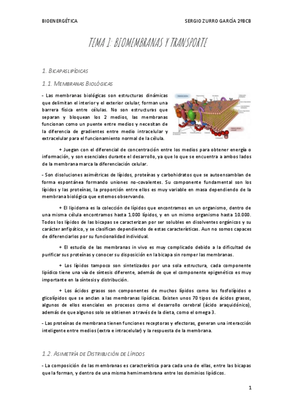 Miniatura del documento APUNTES-BIOENERGETICA-I.pdf