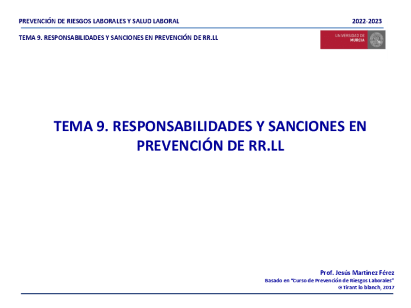 Miniatura del documento TEMA-9.-RESPONSABILIDADES-Y-SANCIONES-EN-PRRLL.pdf