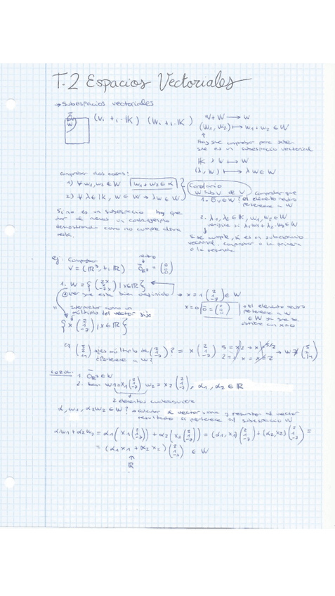 Miniatura del documento Apuntes-tema-2-Algebra-lineal.pdf