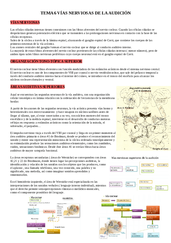 Miniatura del documento TEMA-6-MODULO-II.pdf