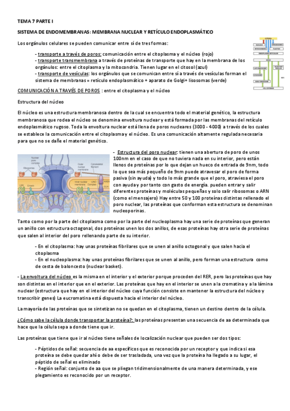 Miniatura del documento TEMA-7.pdf