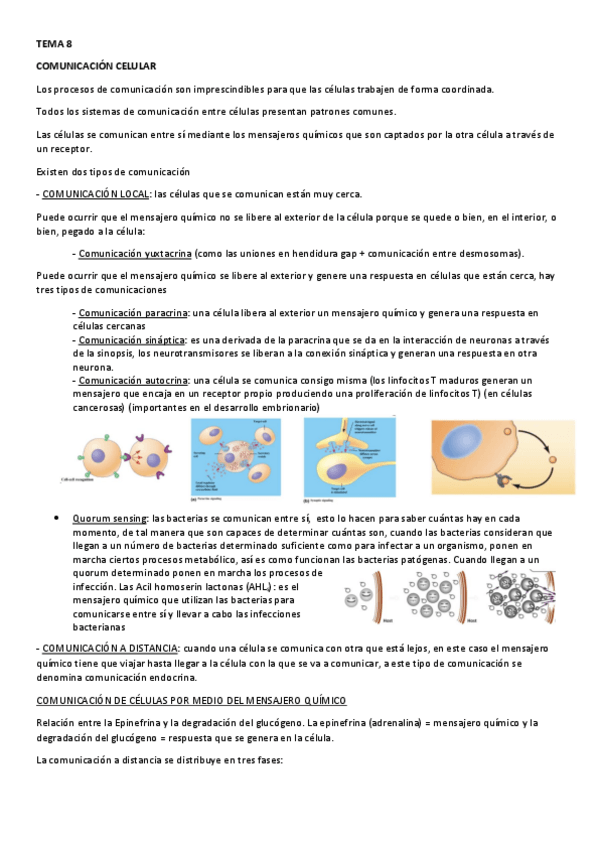 Miniatura del documento TEMA-8.pdf