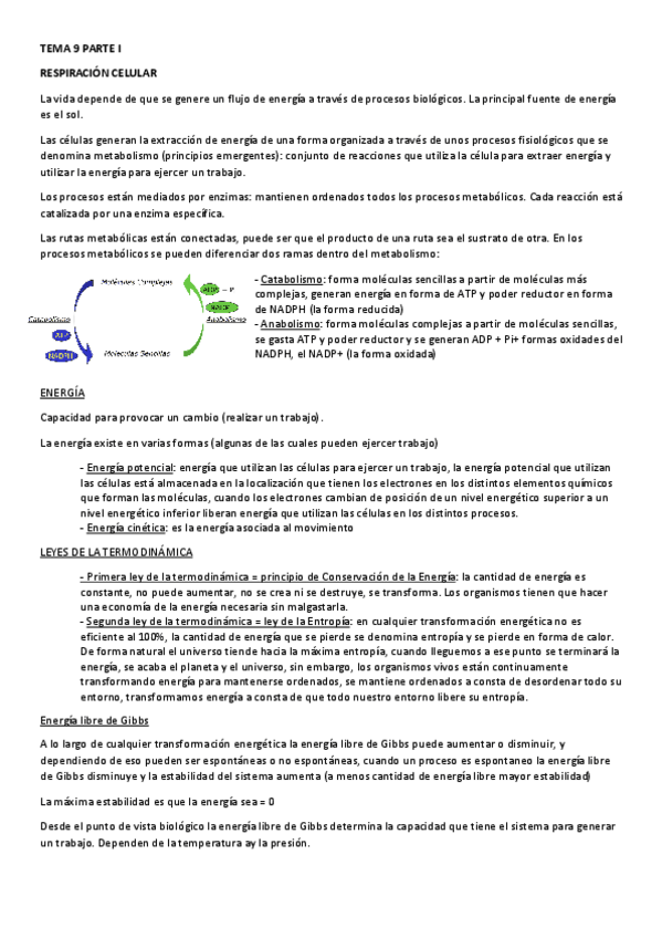Miniatura del documento TEMA-9.pdf