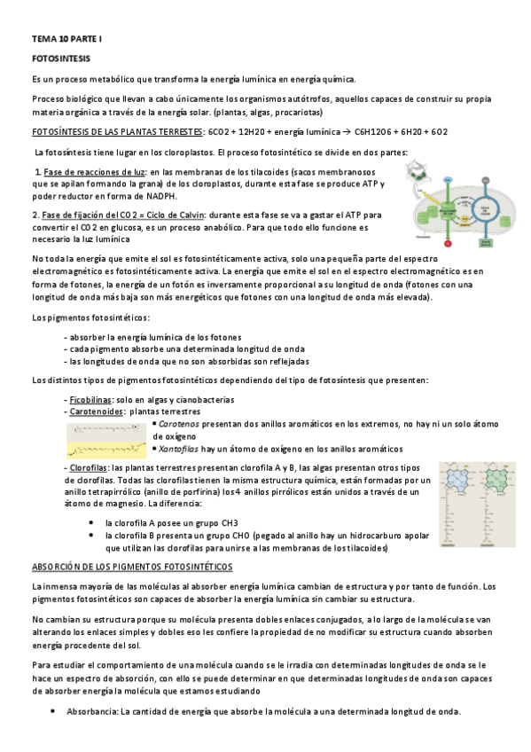 Miniatura del documento TEMA-10.pdf