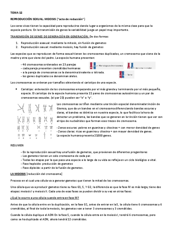 Miniatura del documento TEMA-12.pdf