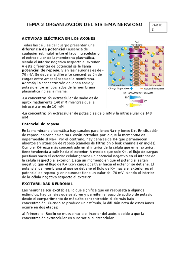 Miniatura del documento TEMA-2.-PART-2.docx
