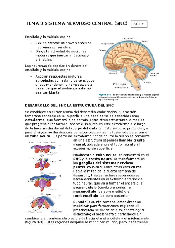 Miniatura del documento TEMA-3-SNC.-PRT-1.docx