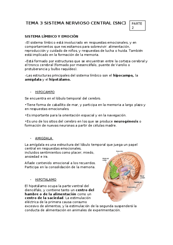 Miniatura del documento TEMA-3-SNC.-PRT-2.docx