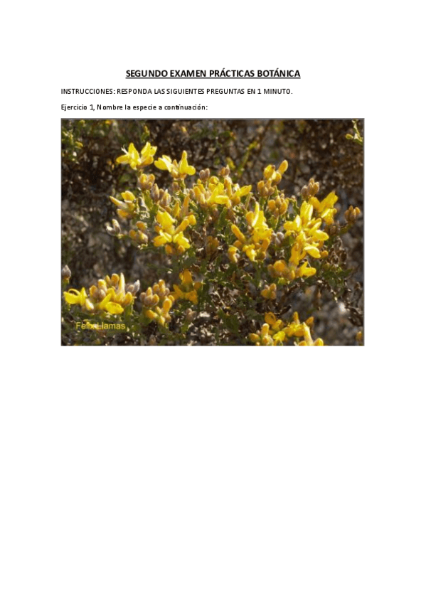 Miniatura del documento SEGUNDO-EXAMEN-PRACTICAS-BOTANICA.pdf