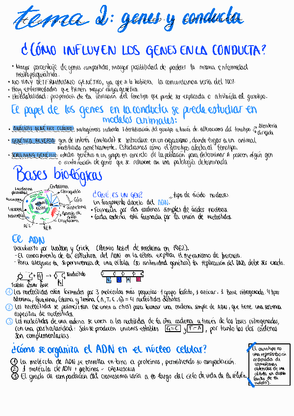 Miniatura del documento Tema 1 relacion mente cuerpo.pdf