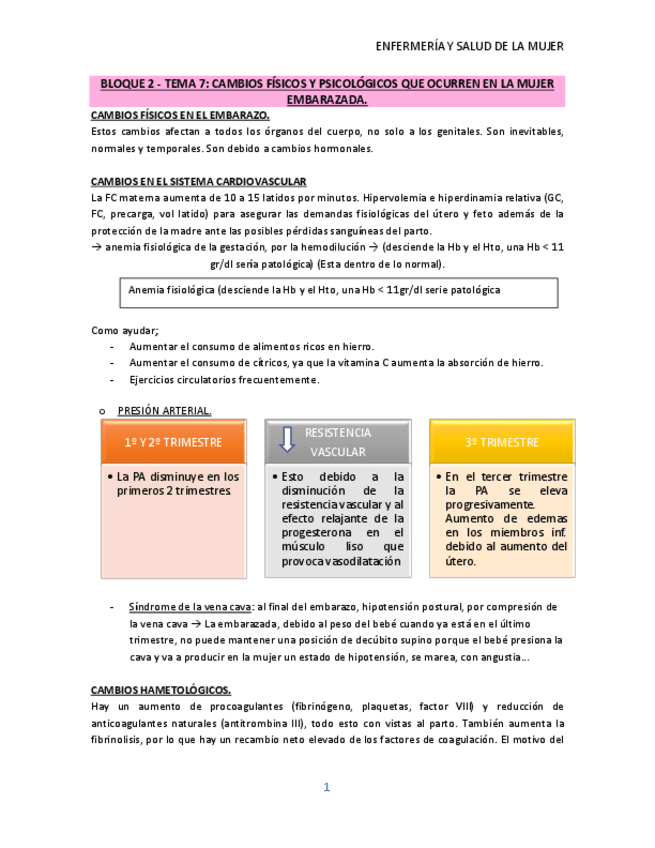 Miniatura del documento TEMA-7-.CAMBIOS-FISICOS-Y-PSICOLOGICOS-EMBARAZADA.pdf