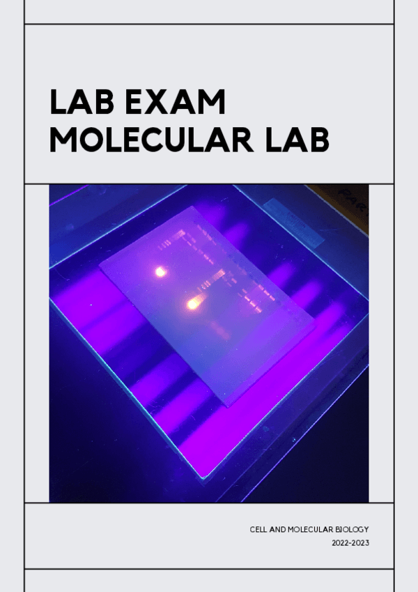 Miniatura del documento NOTES-1-LAB-EXAM-MOLECULAR-PART.pdf