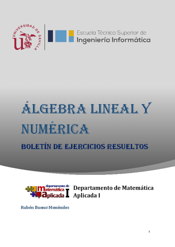 Miniatura del documento ALN - Ejercicios resueltos.pdf