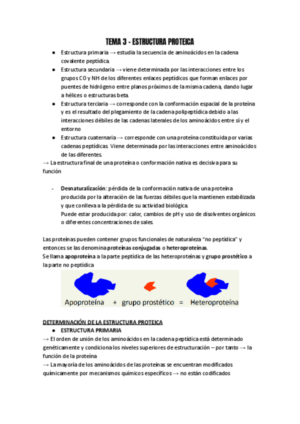 Miniatura del documento TEMA-3-ESTRUCTURA-PROTEICA-1.pdf