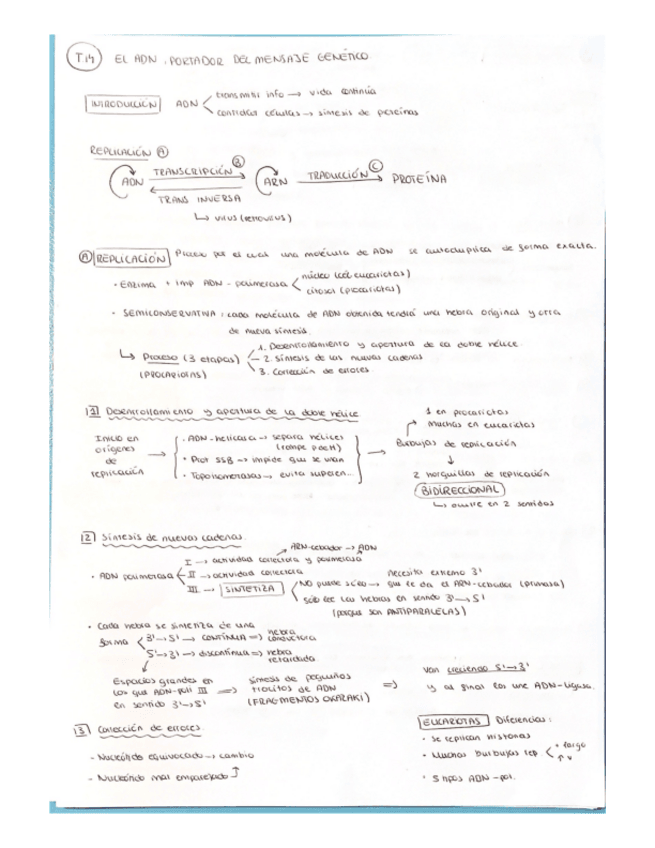 Miniatura del documento MedinaLucasMaraGenetica-molecular.pdf