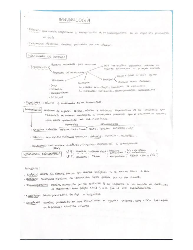 Miniatura del documento MedinaLucasMaraInmunologia.pdf