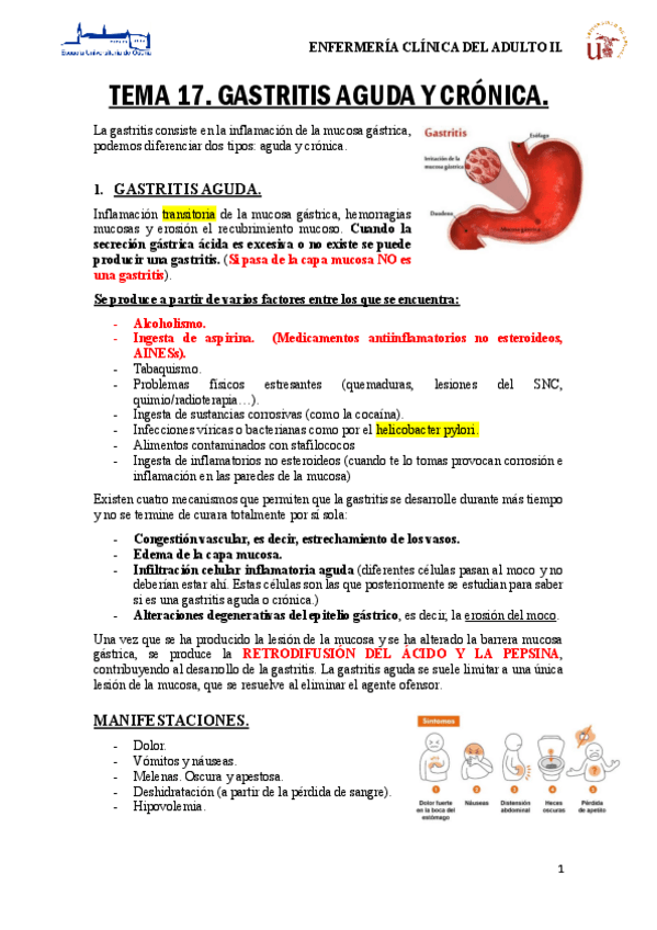Miniatura del documento TEMA-17-GASTRITIS-AGUDA-Y-CRONICA.pdf