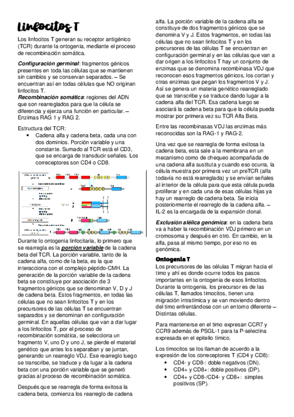 Miniatura del documento linfocitos-T.pdf