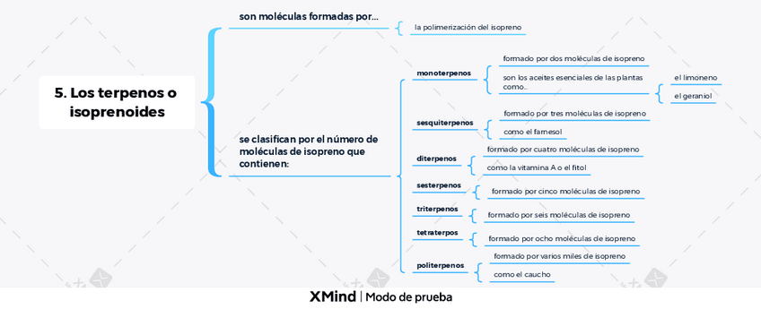Miniatura del documento Tema-3.5.-Los-terpenos-o-isoprenoides.pdf