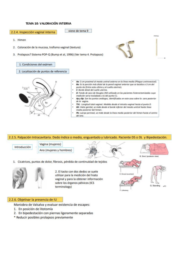Miniatura del documento TEMA-10-VALORACION-INTERNA.pdf