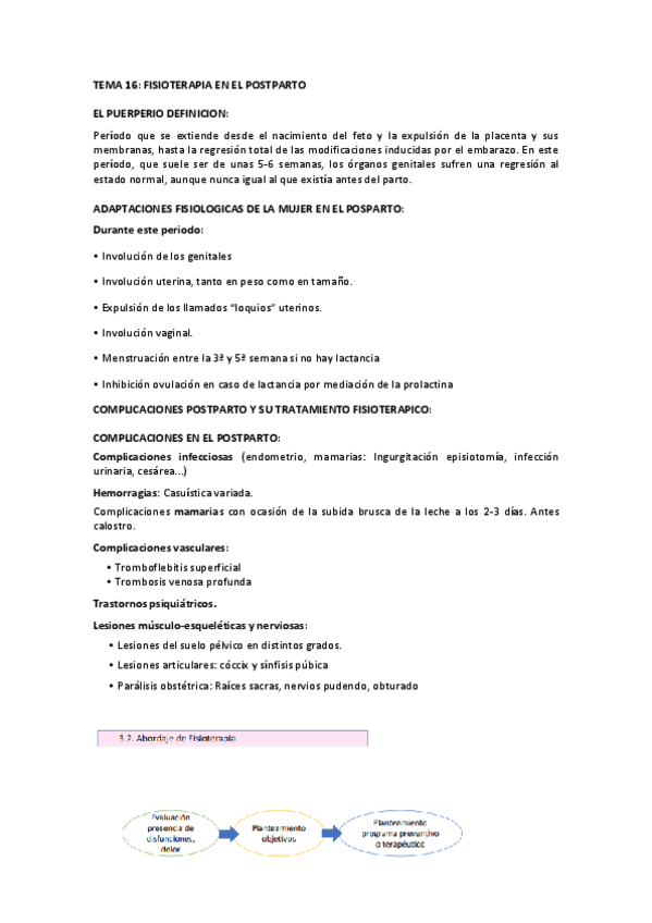 Miniatura del documento TEMA-16-FISIOTERAPIA-POSTPARTO.pdf
