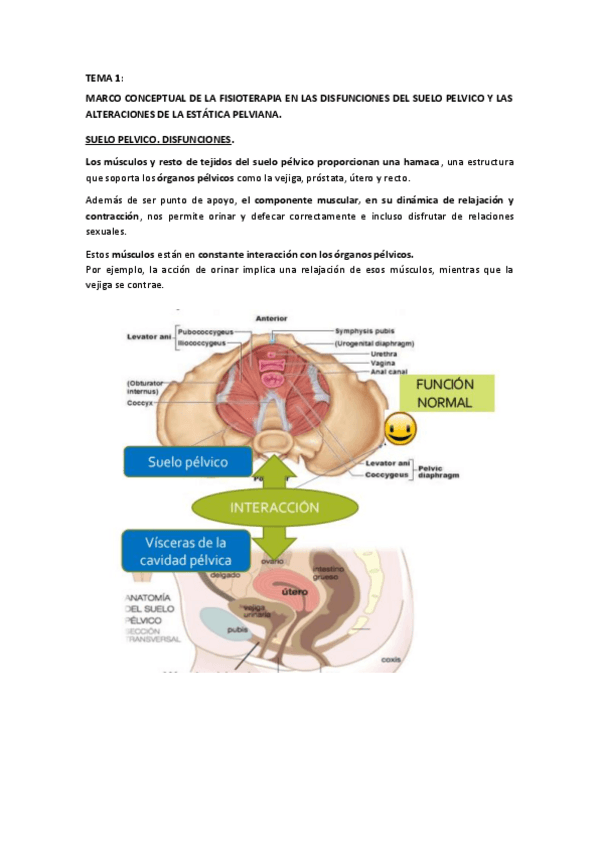 Miniatura del documento TEMA-1-MARCO-CONCEPTUAL.pdf