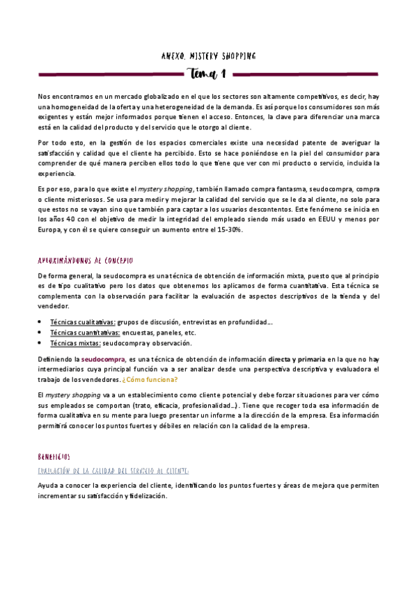 Miniatura del documento ANEXO-MYSTERY-SHOPPING-T1.pdf
