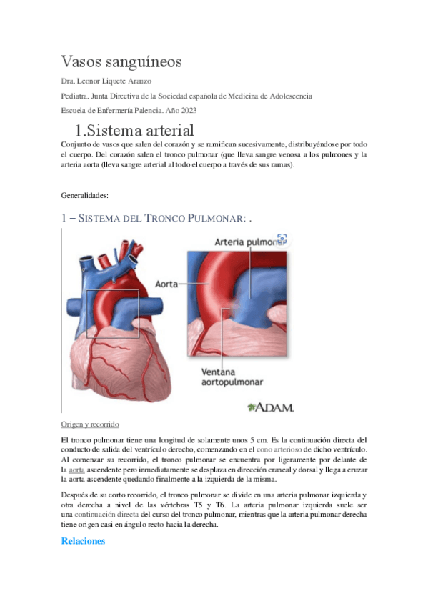 Miniatura del documento arterias.pdf