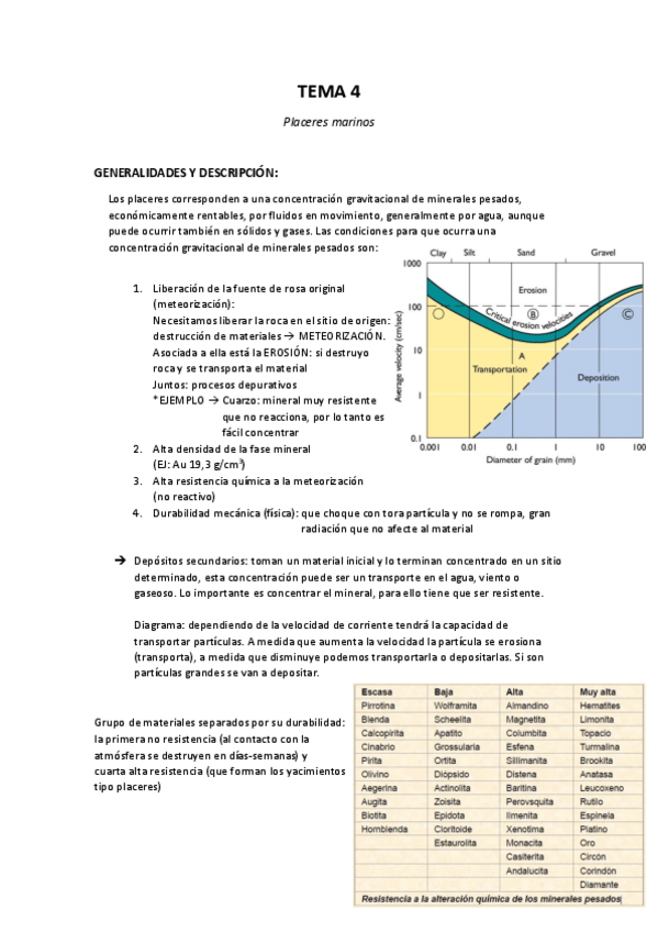 Miniatura del documento Tema 4 - Placeres.pdf