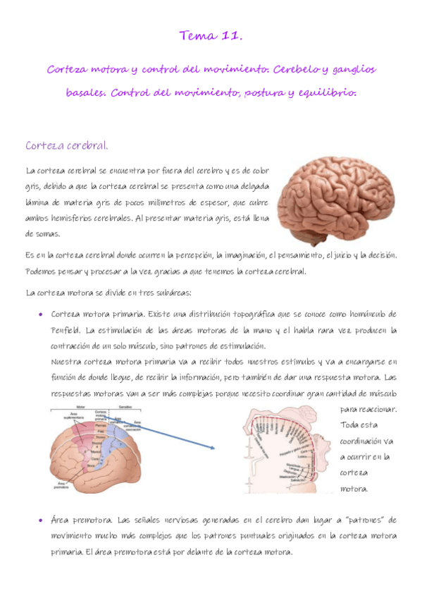 Miniatura del documento FISIOLOGIA_TEMA 11.pdf