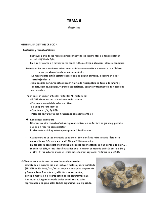Miniatura del documento Tema 6 - Fosforitas.pdf