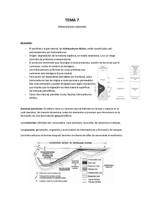Miniatura del documento Tema 7 - Hidrocarburos naturales.pdf