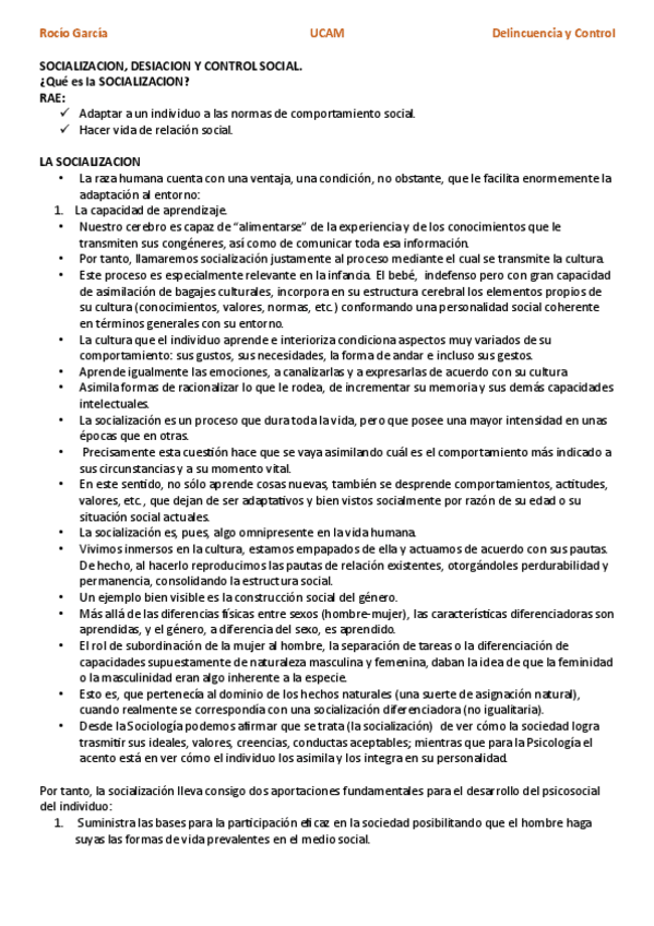 Miniatura del documento delincuencia-T3.pdf