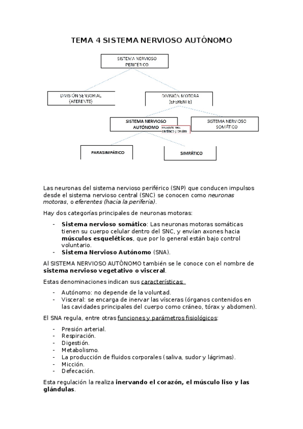 Miniatura del documento TEMA-4-SNA.docx