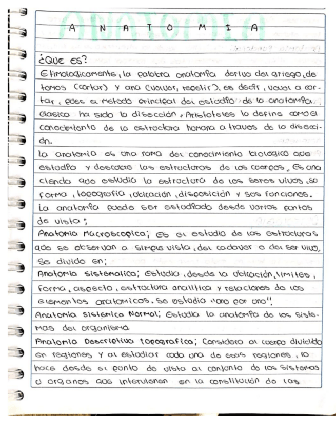 Miniatura del documento ANATOMIA-DEFINICIONES.pdf