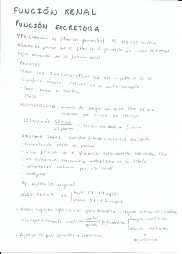 Miniatura del documento Funcion-renal.pdf