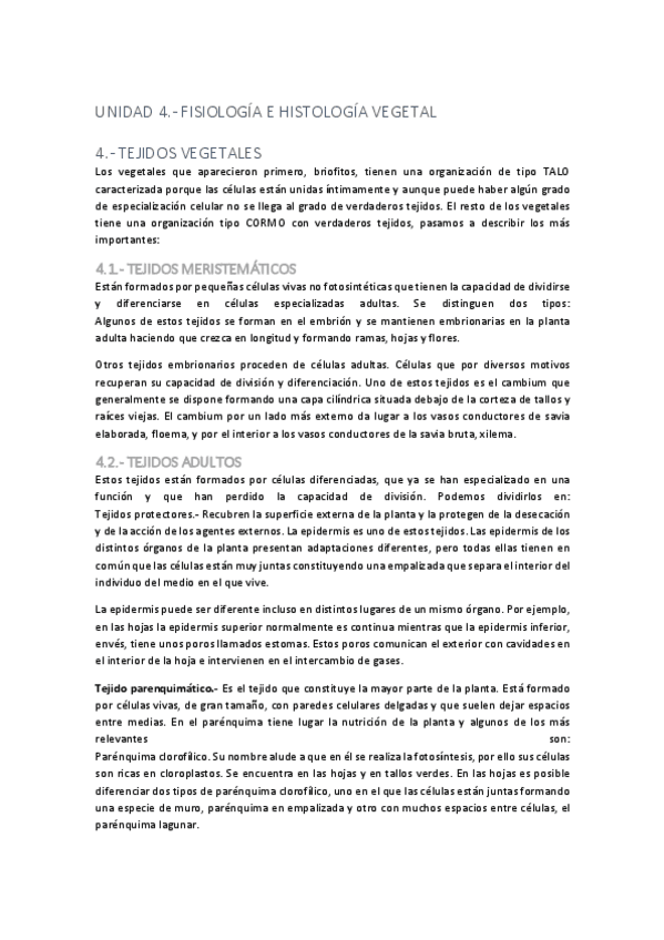 Miniatura del documento 4.-TEJIDOS-VEGETALES.pdf